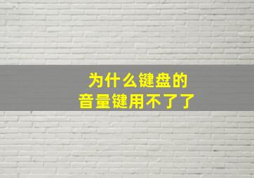 为什么键盘的音量键用不了了