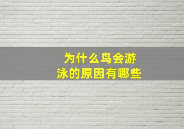 为什么鸟会游泳的原因有哪些