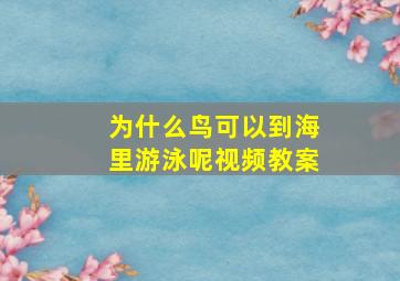 为什么鸟可以到海里游泳呢视频教案