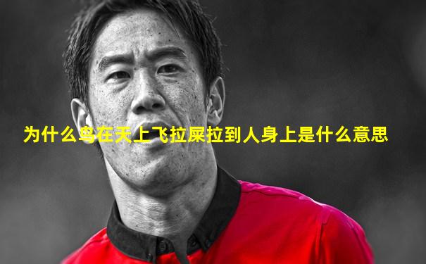 为什么鸟在天上飞拉屎拉到人身上是什么意思