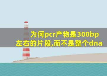 为何pcr产物是300bp左右的片段,而不是整个dna