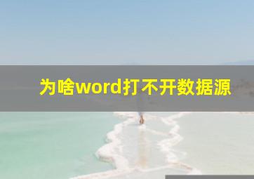 为啥word打不开数据源