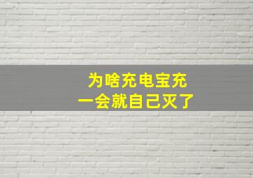 为啥充电宝充一会就自己灭了