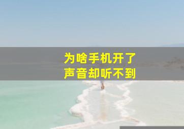 为啥手机开了声音却听不到