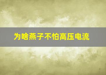 为啥燕子不怕高压电流