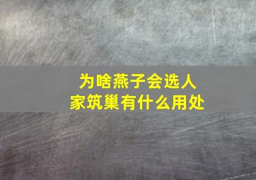 为啥燕子会选人家筑巢有什么用处