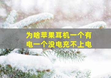 为啥苹果耳机一个有电一个没电充不上电