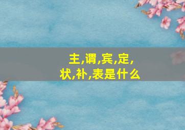 主,谓,宾,定,状,补,表是什么