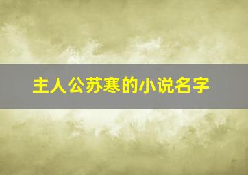 主人公苏寒的小说名字