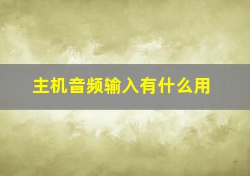 主机音频输入有什么用