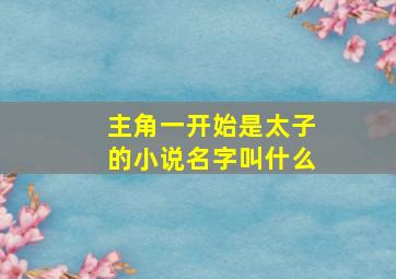 主角一开始是太子的小说名字叫什么