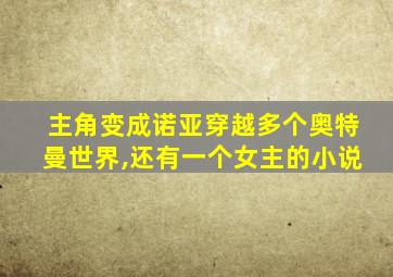 主角变成诺亚穿越多个奥特曼世界,还有一个女主的小说