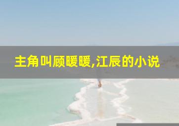 主角叫顾暖暖,江辰的小说