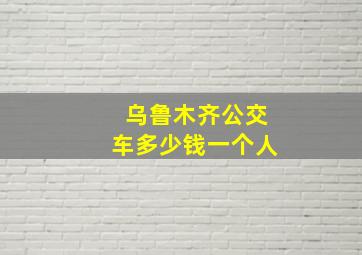 乌鲁木齐公交车多少钱一个人