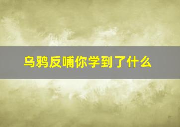 乌鸦反哺你学到了什么