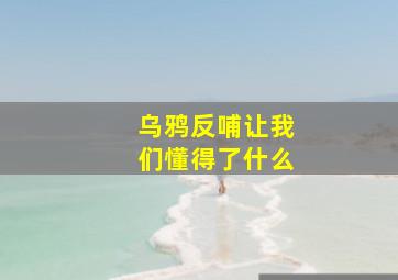 乌鸦反哺让我们懂得了什么