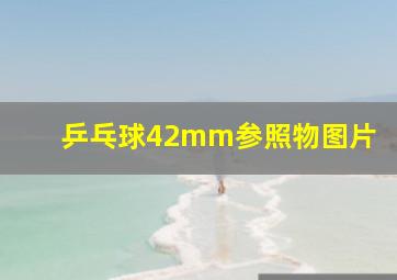 乒乓球42mm参照物图片