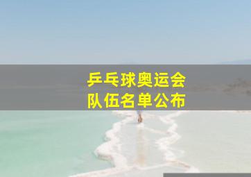 乒乓球奥运会队伍名单公布