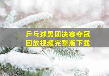 乒乓球男团决赛夺冠回放视频完整版下载