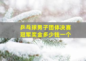 乒乓球男子团体决赛冠军奖金多少钱一个