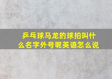 乒乓球马龙的球拍叫什么名字外号呢英语怎么说