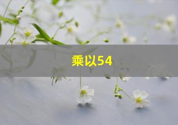 乘以54