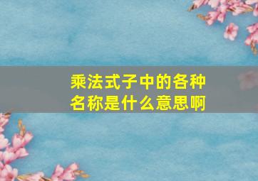 乘法式子中的各种名称是什么意思啊