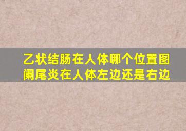 乙状结肠在人体哪个位置图阑尾炎在人体左边还是右边