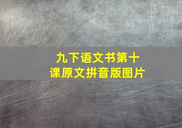 九下语文书第十课原文拼音版图片