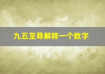 九五至尊解释一个数字