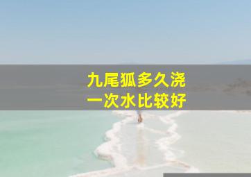 九尾狐多久浇一次水比较好