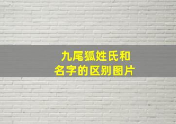 九尾狐姓氏和名字的区别图片