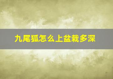 九尾狐怎么上盆栽多深