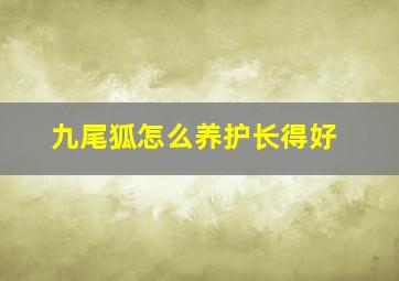 九尾狐怎么养护长得好