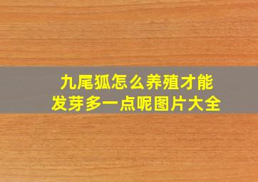 九尾狐怎么养殖才能发芽多一点呢图片大全