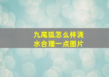 九尾狐怎么样浇水合理一点图片