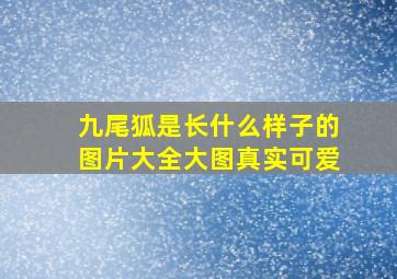 九尾狐是长什么样子的图片大全大图真实可爱