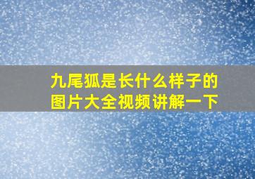 九尾狐是长什么样子的图片大全视频讲解一下