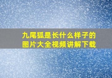 九尾狐是长什么样子的图片大全视频讲解下载