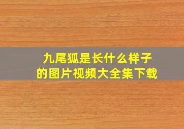 九尾狐是长什么样子的图片视频大全集下载