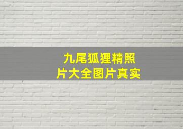 九尾狐狸精照片大全图片真实