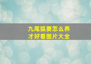 九尾狐要怎么养才好看图片大全