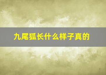 九尾狐长什么样子真的