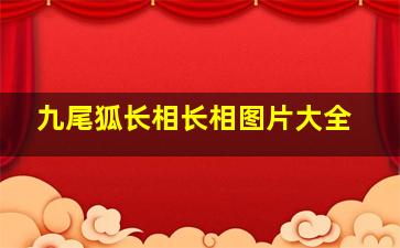 九尾狐长相长相图片大全