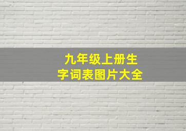 九年级上册生字词表图片大全