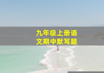 九年级上册语文期中默写题