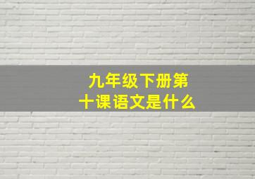 九年级下册第十课语文是什么