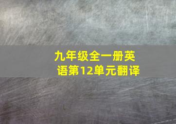 九年级全一册英语第12单元翻译