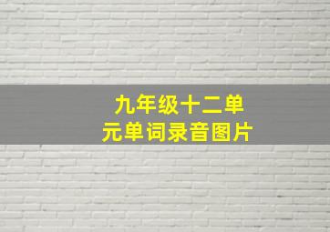 九年级十二单元单词录音图片