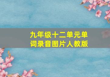 九年级十二单元单词录音图片人教版